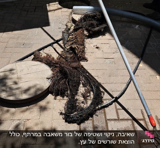 צינור ואקום ושורשים על רצפת בטון